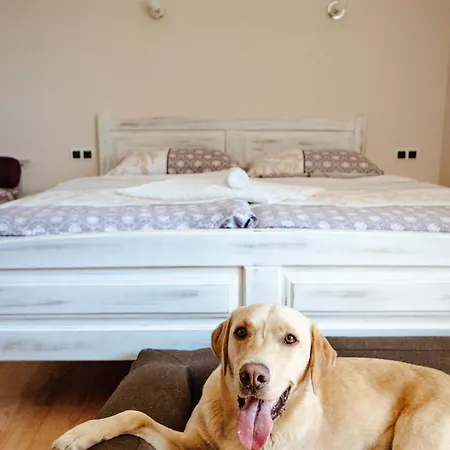 בית חווה Zelena Oaza - Miklavz pri Ormozu