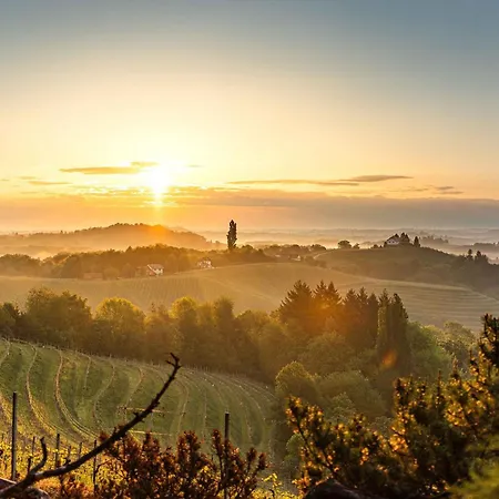 Zelena Oaza - בית חווה Miklavz pri Ormozu