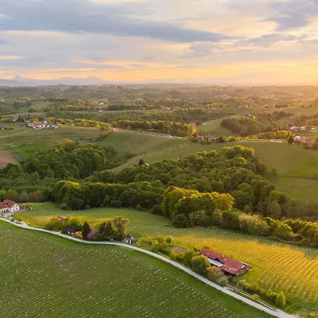 Zelena Oaza - Miklavz pri Ormozu