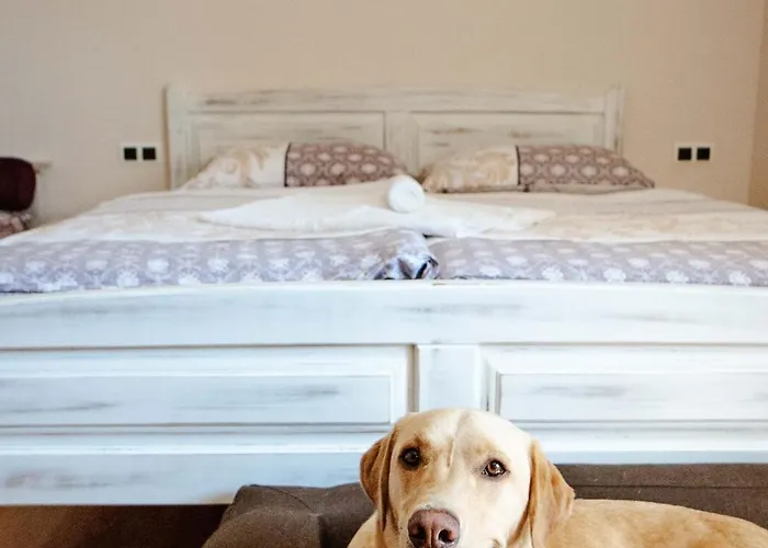 בית חווה Zelena Oaza - Miklavz pri Ormozu