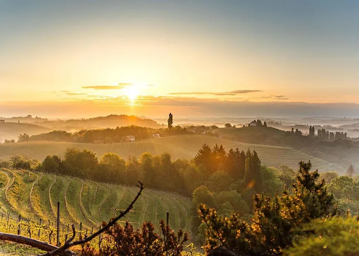 Zelena Oaza - Feriegård Miklavz pri Ormozu
