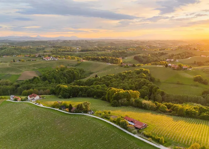 Zelena Oaza - Miklavz pri Ormozu
